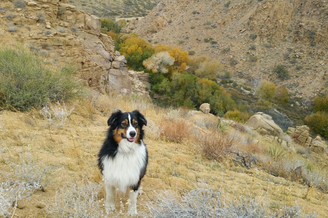 Carousel with Captions