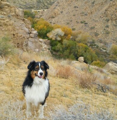 Carousel with Captions