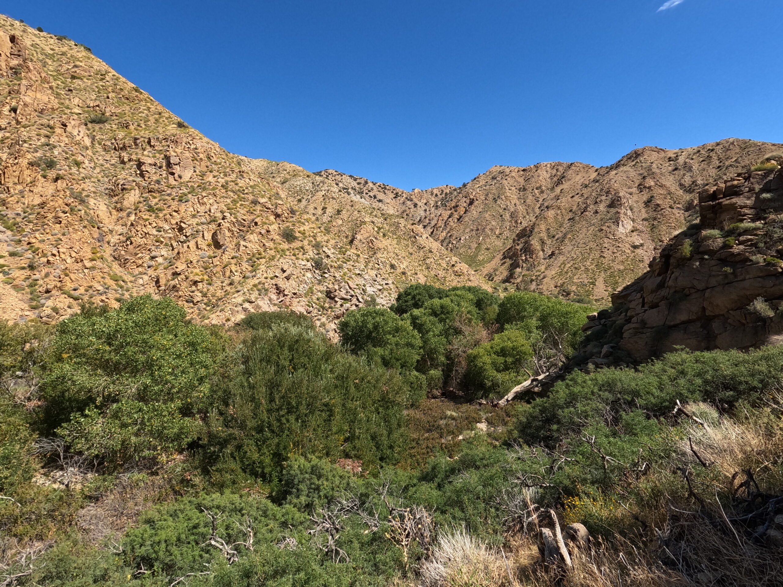 Desert landscape view from Soaring to the Stars trail