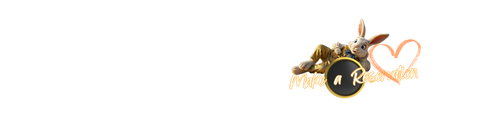 Rabbit lying with button